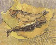 Vincent Van Gogh Crab on Its Back (nn04) painting